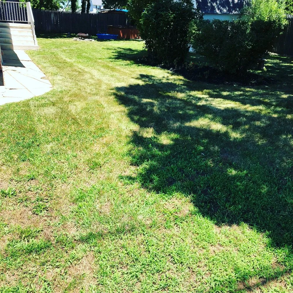 Affordable yard maintenance experts serving Turnersville, NJ - We Just Cut