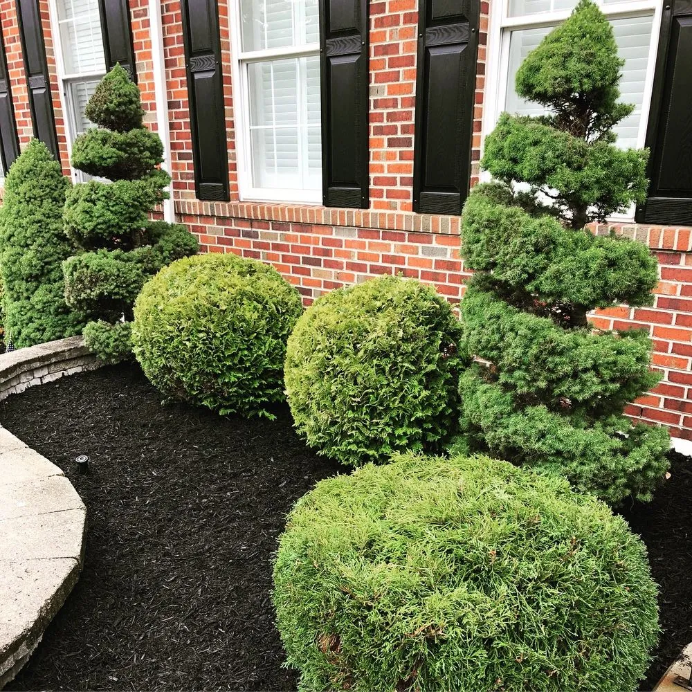 Top-rated garden landscaping experts serving Turnersville, NJ - We Just Cut