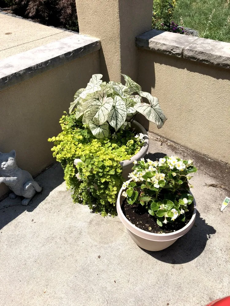 Expert residential landscaping near you in Turnersville, NJ by We Just Cut