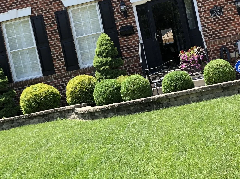 Top-rated yard maintenance experts serving Turnersville, NJ - We Just Cut