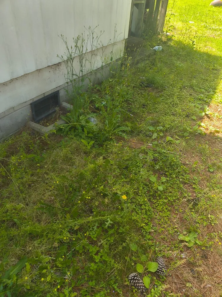 Trusted lawn mowing service in New Bern, NC by We Keep It Pushing Lawn Care