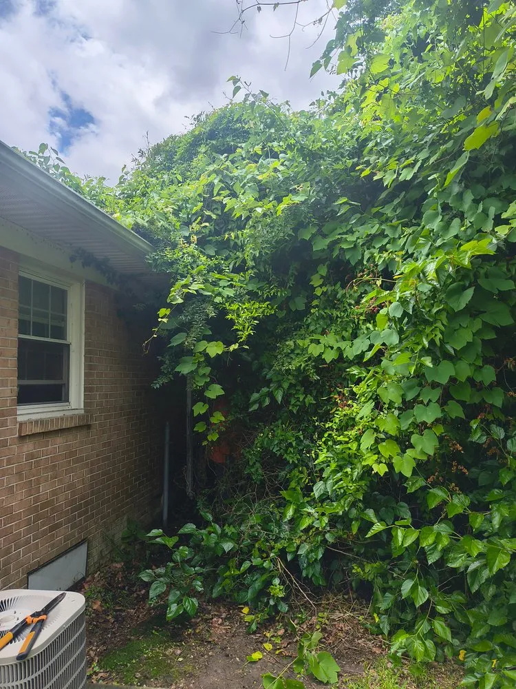 Custom lawn mowing service experts serving New Bern, NC - We Keep It Pushing Lawn Care