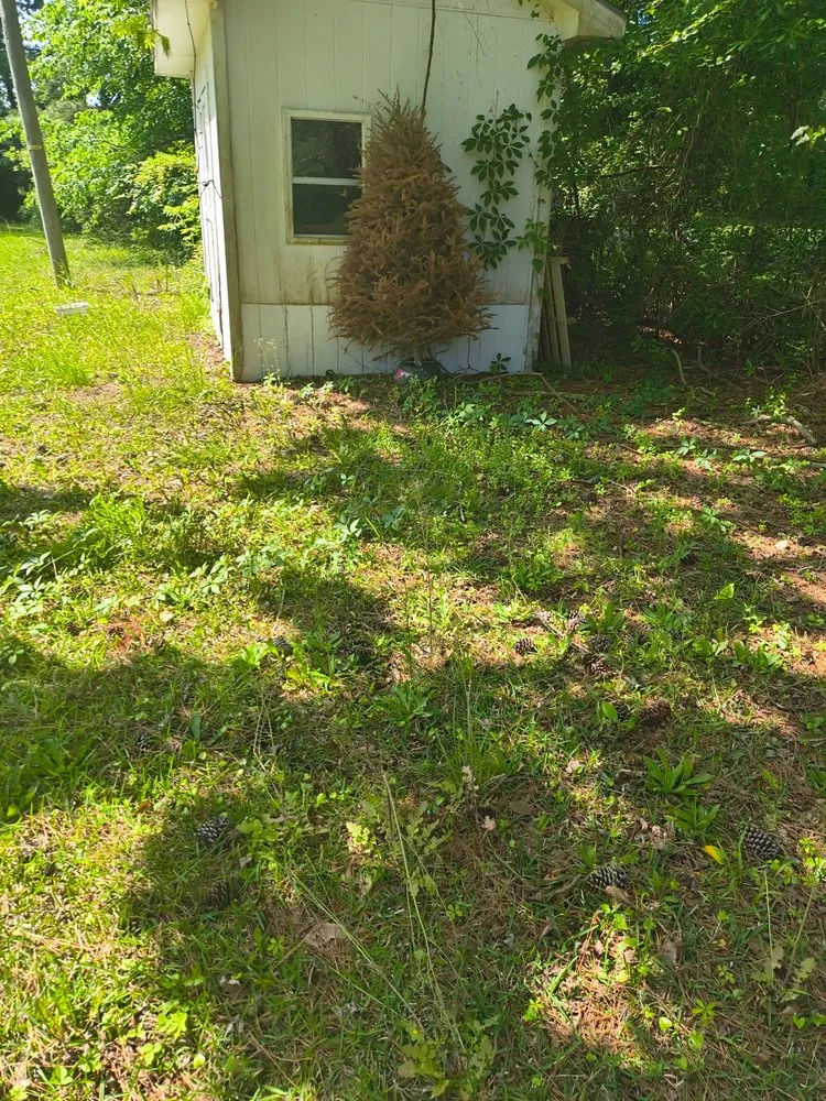 Top-rated garden landscaping for outdoor upgrades in New Bern, NC by We Keep It Pushing Lawn Care