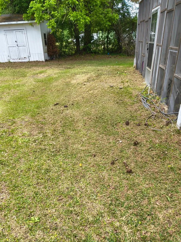 Professional outdoor landscaping with custom design in New Bern, NC by We Keep It Pushing Lawn Care