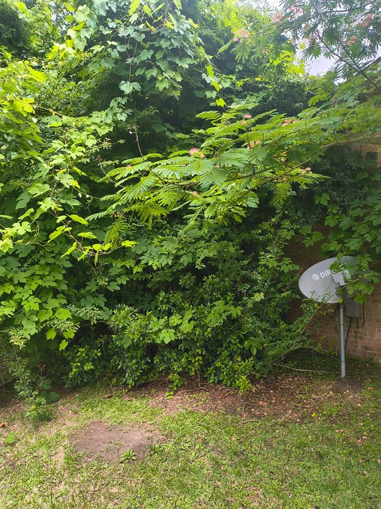 Local yard cleanup service in New Bern, NC - We Keep It Pushing Lawn Care