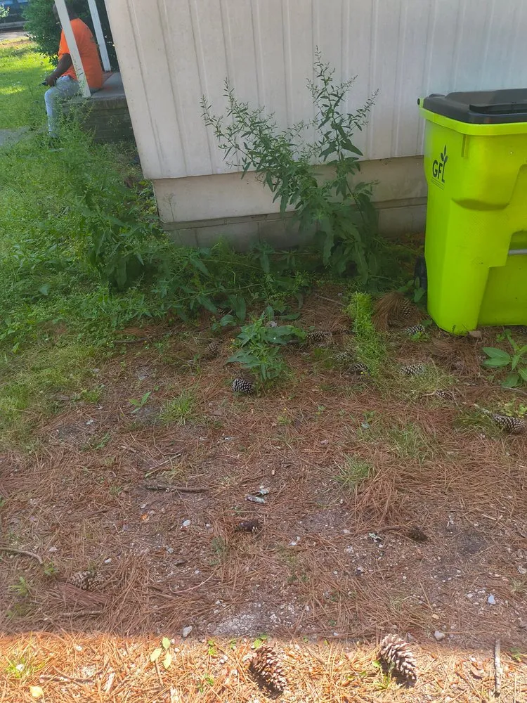 Expert yard cleanup service in New Bern, NC by We Keep It Pushing Lawn Care