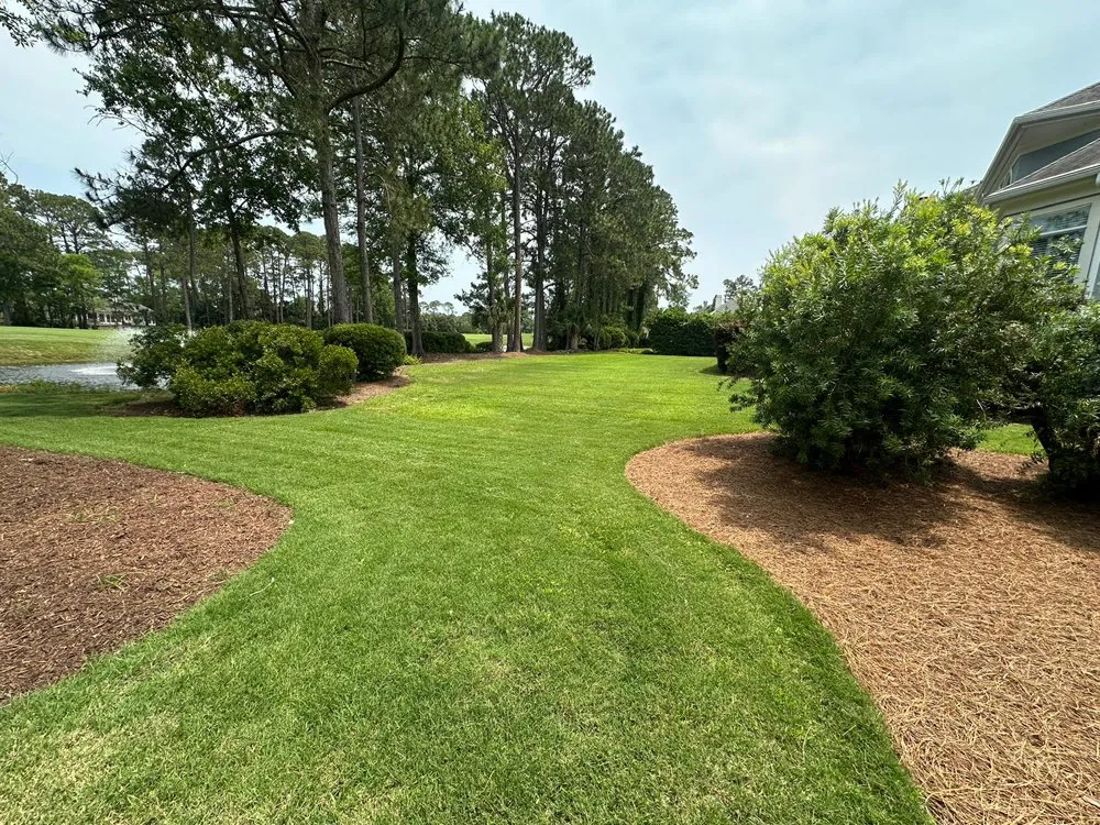 Professional residential landscaping in Hilton Head Island, SC by We Landscape