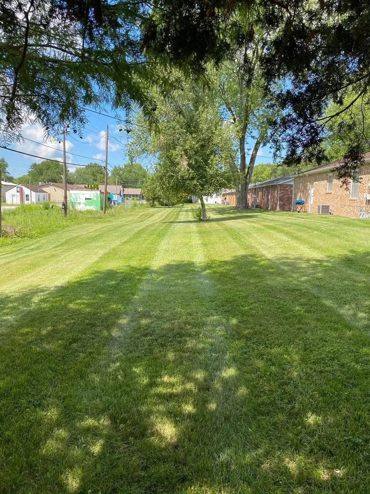 Local residential landscaping in Hilton Head Island, SC by We Landscape