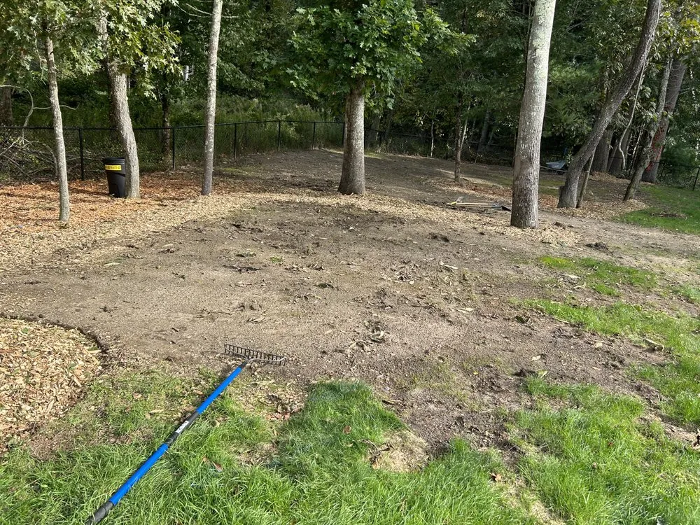 Top-rated lawn mowing service in Middleborough, MA by We Landscape