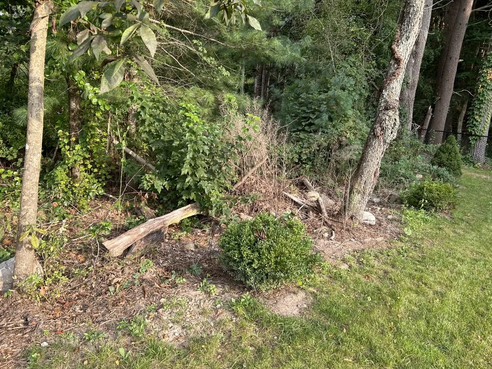 Professional garden landscaping in Middleborough, MA - We Landscape