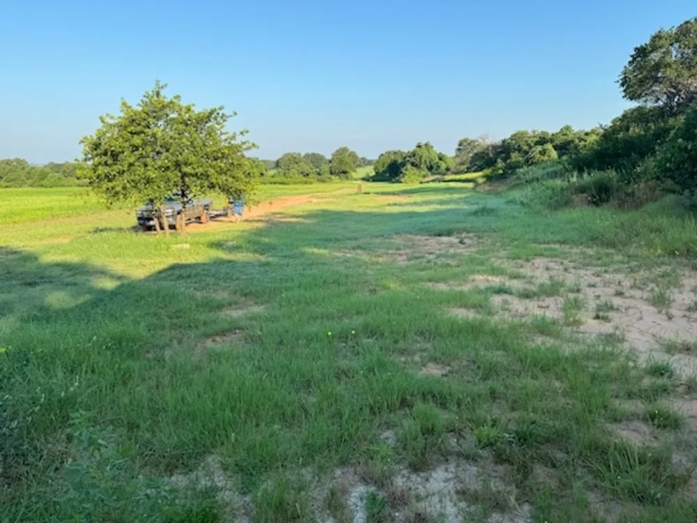 Professional landscaping services in Stephenville, TX - WE Lawn & Power Washing Service