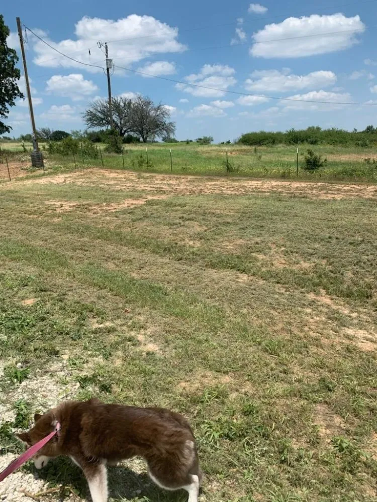 Local yard cleanup service in Stephenville, TX by WE Lawn & Power Washing Service