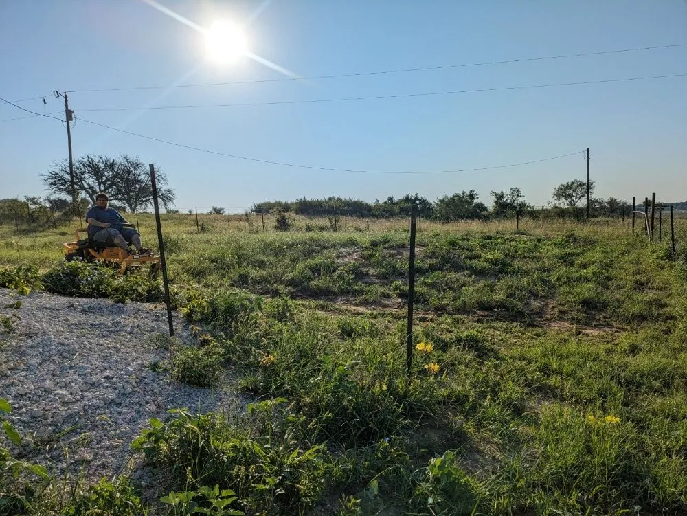 Expert lawn care service in Stephenville, TX by WE Lawn & Power Washing Service