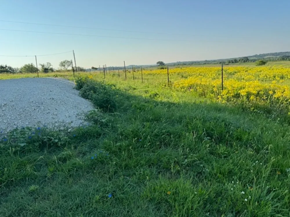 Expert landscaping services for homes in Stephenville, TX by WE Lawn & Power Washing Service