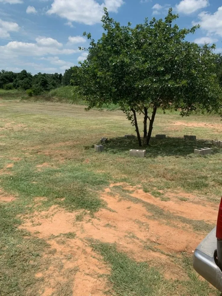 Local outdoor landscaping in Stephenville, TX - WE Lawn & Power Washing Service