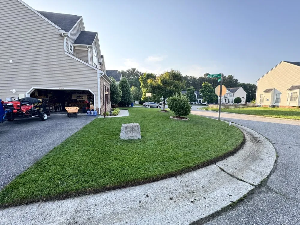 Reliable yard cleanup service for year-round maintenance in Chesterfield, VA by We Love Our Lawn Service