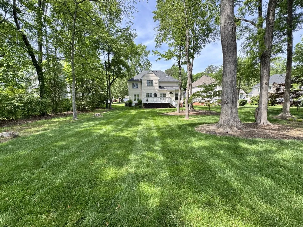 Reliable lawn care service for beautiful yards across Chesterfield, VA - We Love Our Lawn Service