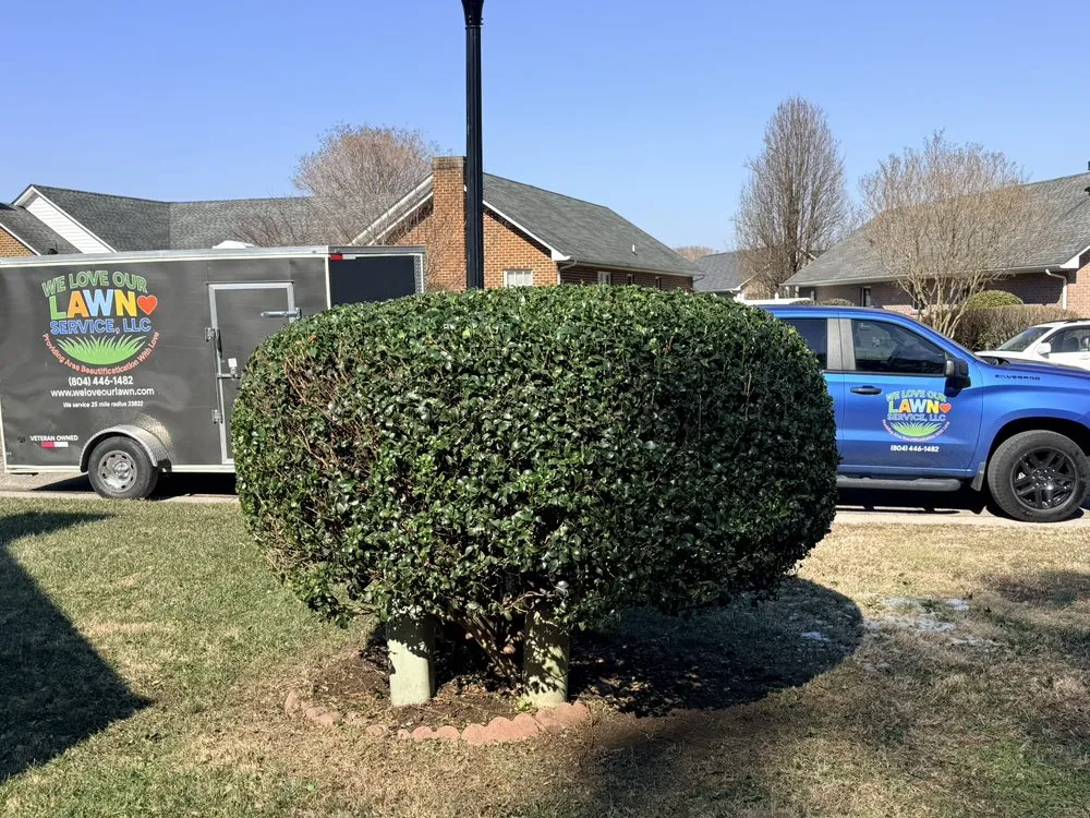 Custom yard cleanup service in Chesterfield, VA by We Love Our Lawn Service