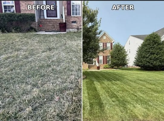 We Love Our Lawn Service Logo