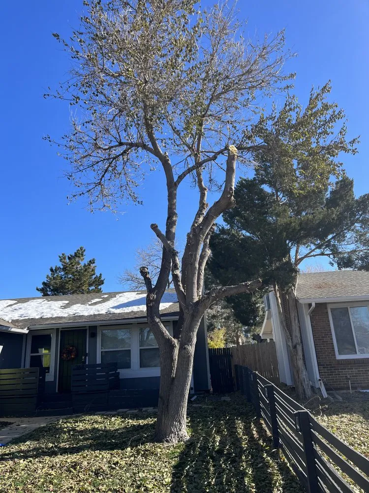 Trusted yard maintenance for year-round maintenance across Aurora, CO - We Move It All Landscaping