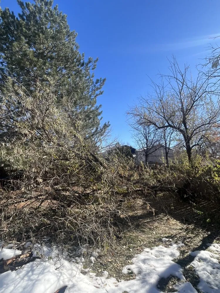 Affordable garden landscaping in Aurora, CO by We Move It All Landscaping