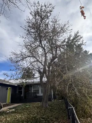 We Move It All Landscaping Logo