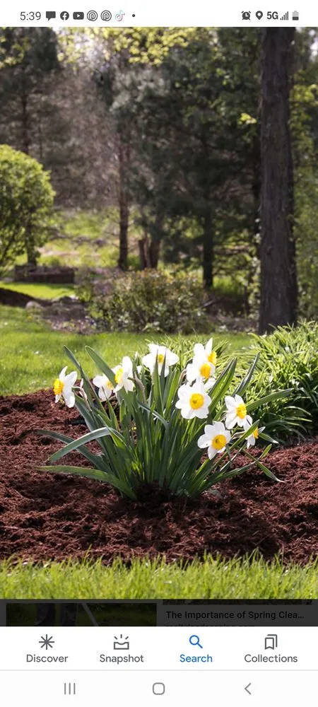 Professional landscaping services in Canton, OH - We Mow And More