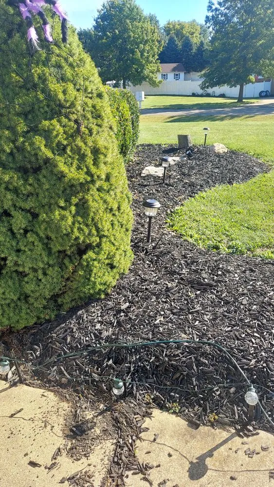 Affordable landscape installation experts serving Canton, OH - We Mow And More
