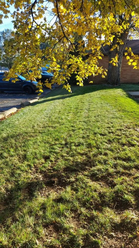 Top-rated yard maintenance in Canton, OH - We Mow And More
