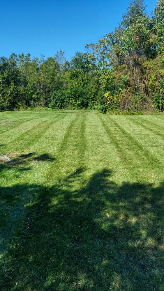 Top-rated residential landscaping experts serving Canton, OH - We Mow And More