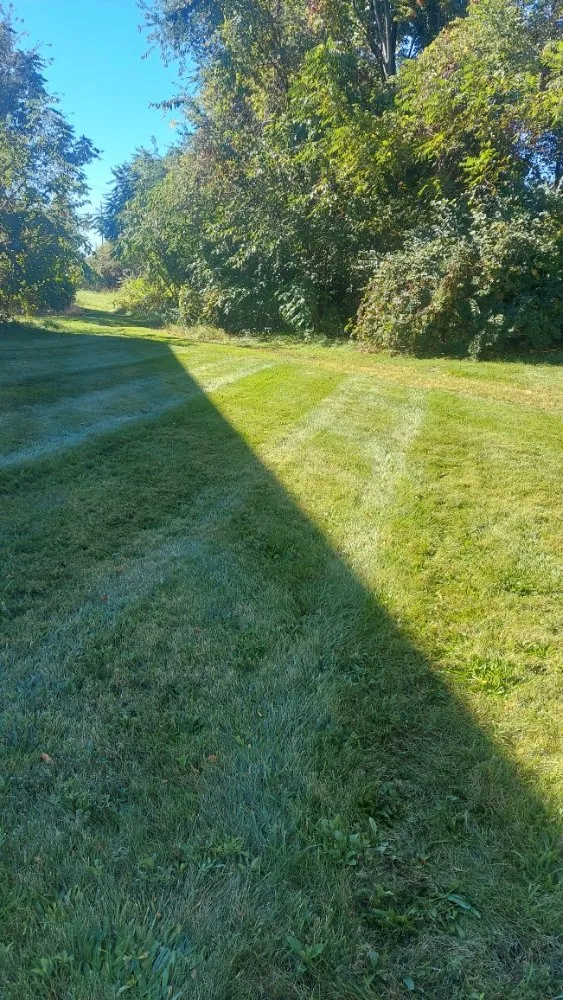 Custom yard cleanup service in Canton, OH - We Mow And More