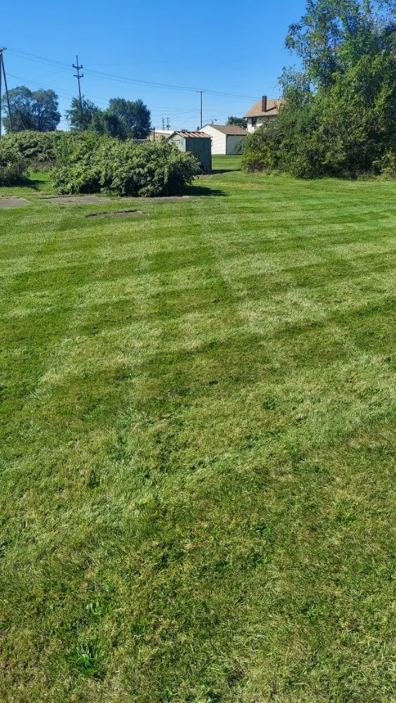 Trusted lawn mowing service for homes in Canton, OH by We Mow And More