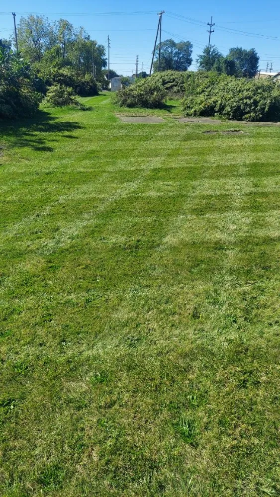 Affordable landscaping services near you across Canton, OH - We Mow And More