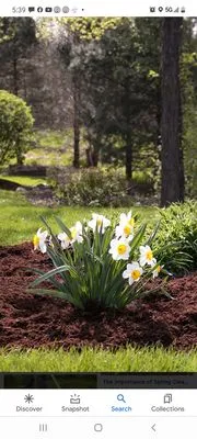 We Mow And More Logo