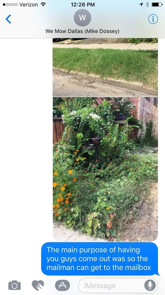 Reliable outdoor landscaping in Dallas, TX by We Mow Dallas