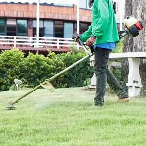 Trusted yard cleanup service in Dallas, TX by We Mow Dallas