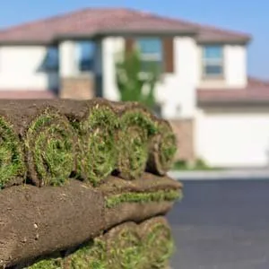 Expert garden landscaping for residential properties across Dallas, TX - We Mow Dallas