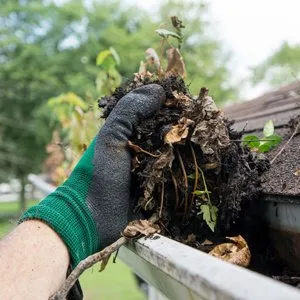 Affordable yard cleanup service with custom design in Dallas, TX by We Mow Dallas