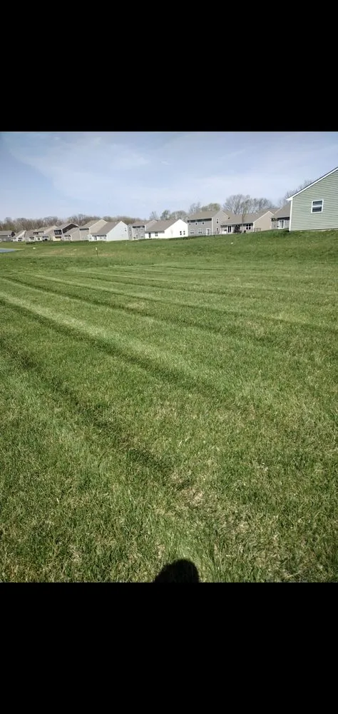 Local residential landscaping in Indianapolis, IN - We Mow Indy