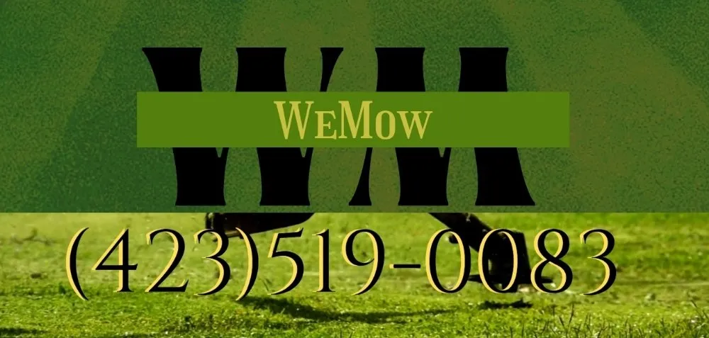 Custom residential landscaping for outdoor upgrades across Madisonville, TN - We Mow