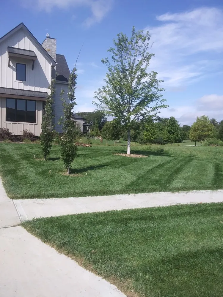 Reliable landscape installation in Omaha, NE by We Mow Omaha