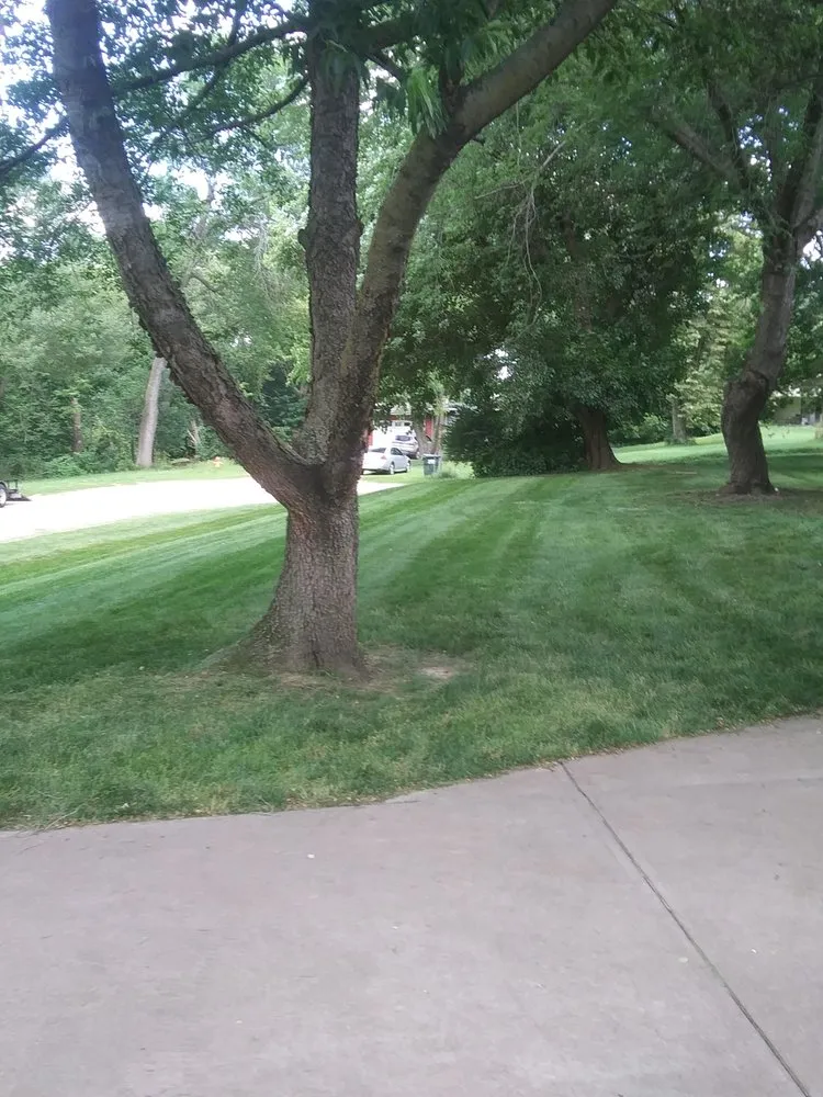 Reliable lawn mowing service experts serving Omaha, NE - We Mow Omaha