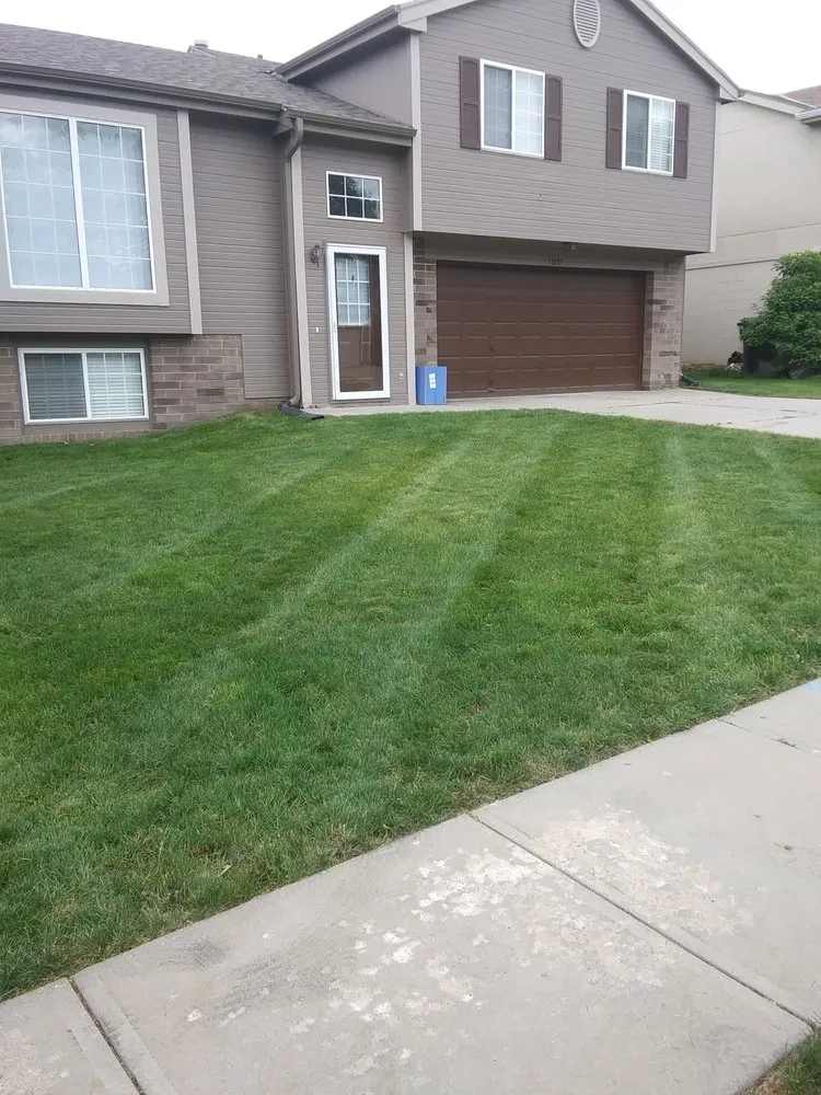 Professional landscaping services in Omaha, NE - We Mow Omaha