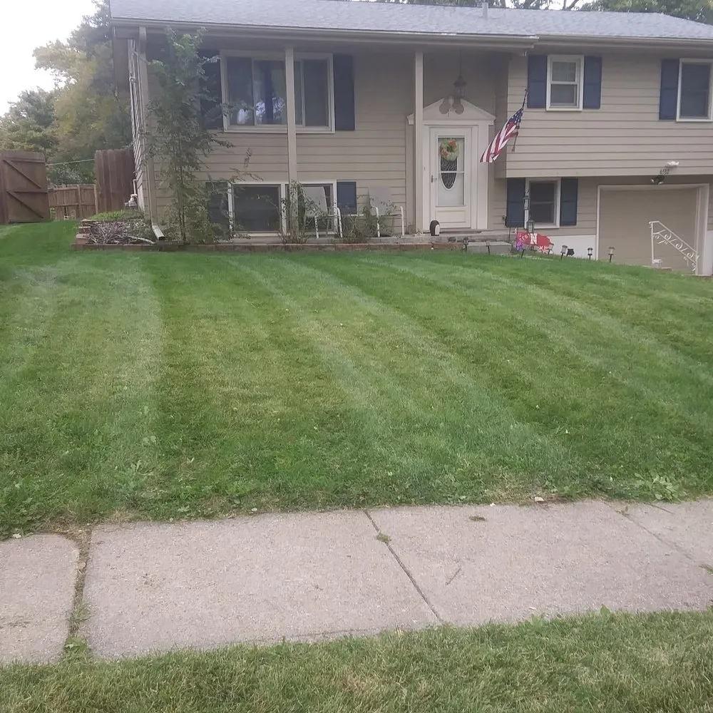 Reliable yard cleanup service in Omaha, NE - We Mow Omaha