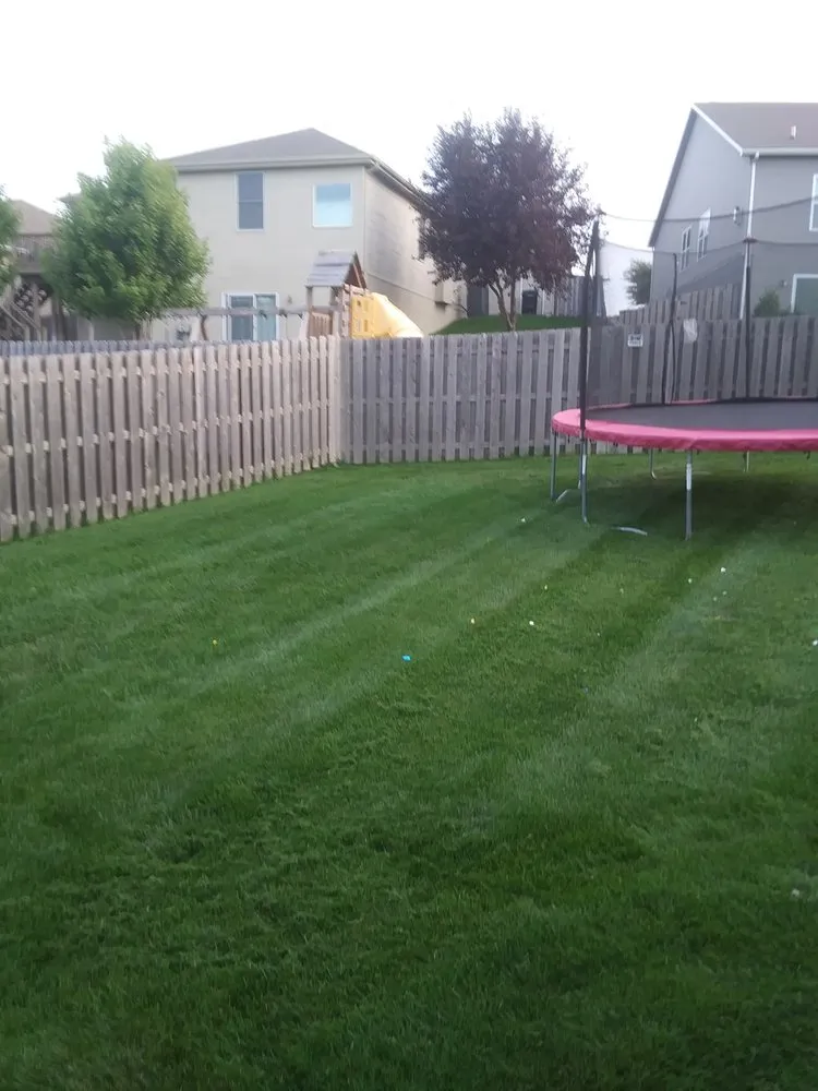 Professional residential landscaping experts serving Omaha, NE - We Mow Omaha