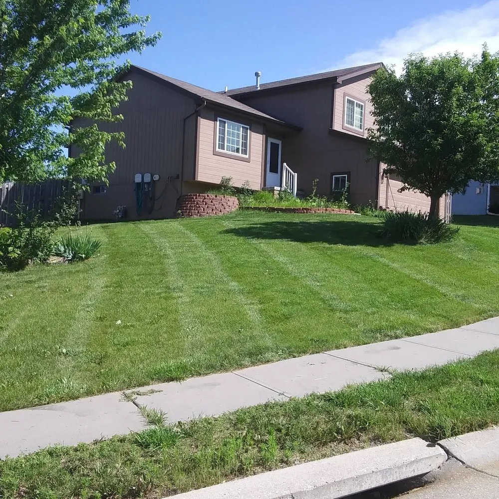 Reliable yard cleanup service near you across Omaha, NE - We Mow Omaha