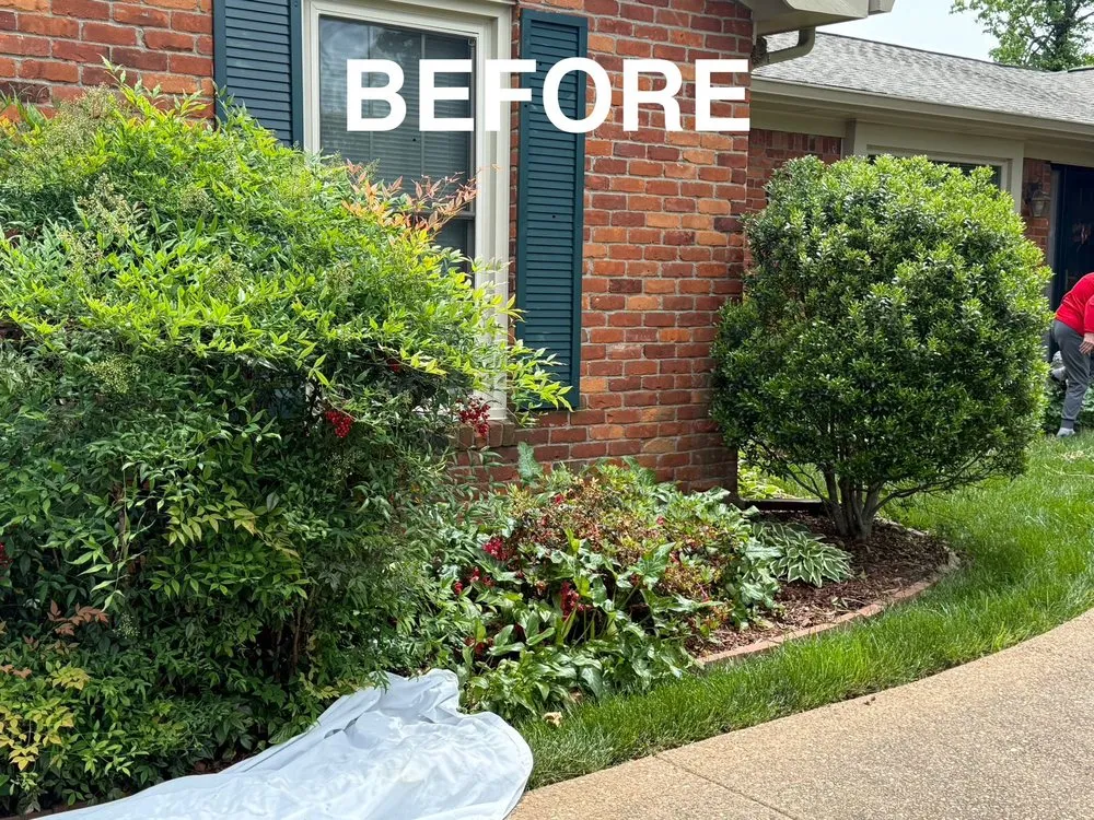 Reliable landscaping services in Paducah, KY by We Mow