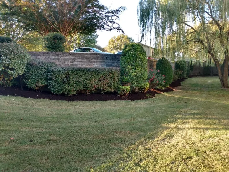 Reliable landscaping services for outdoor upgrades in Paducah, KY by We Mow