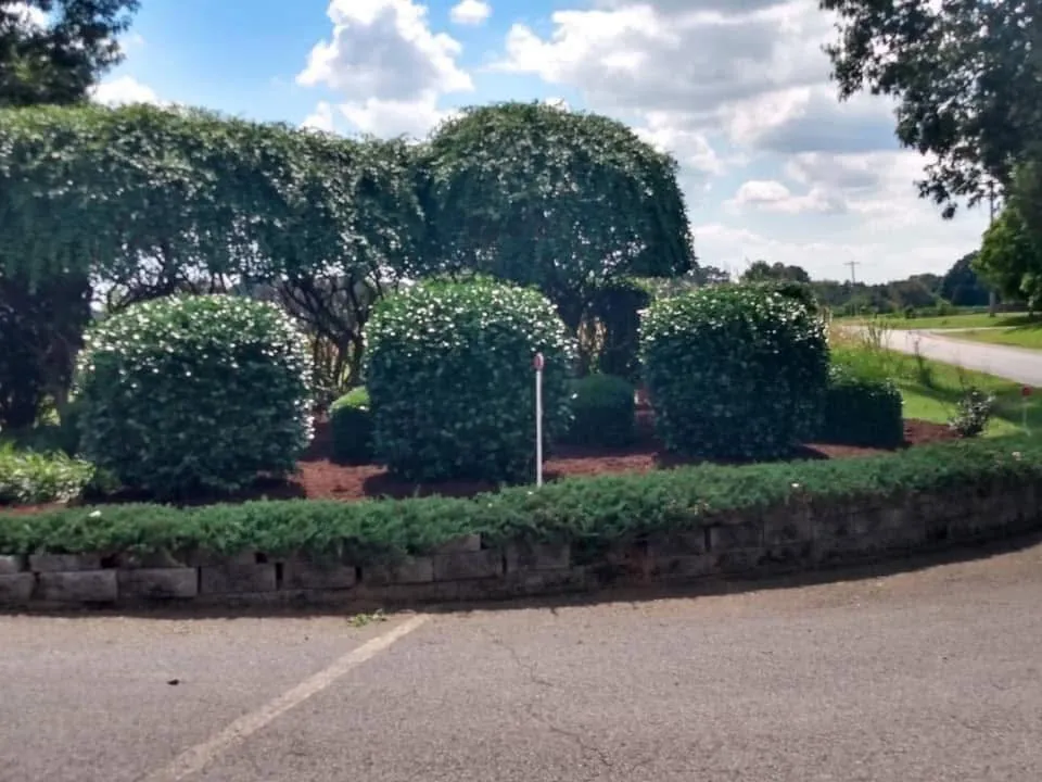 Expert residential landscaping in Paducah, KY - We Mow