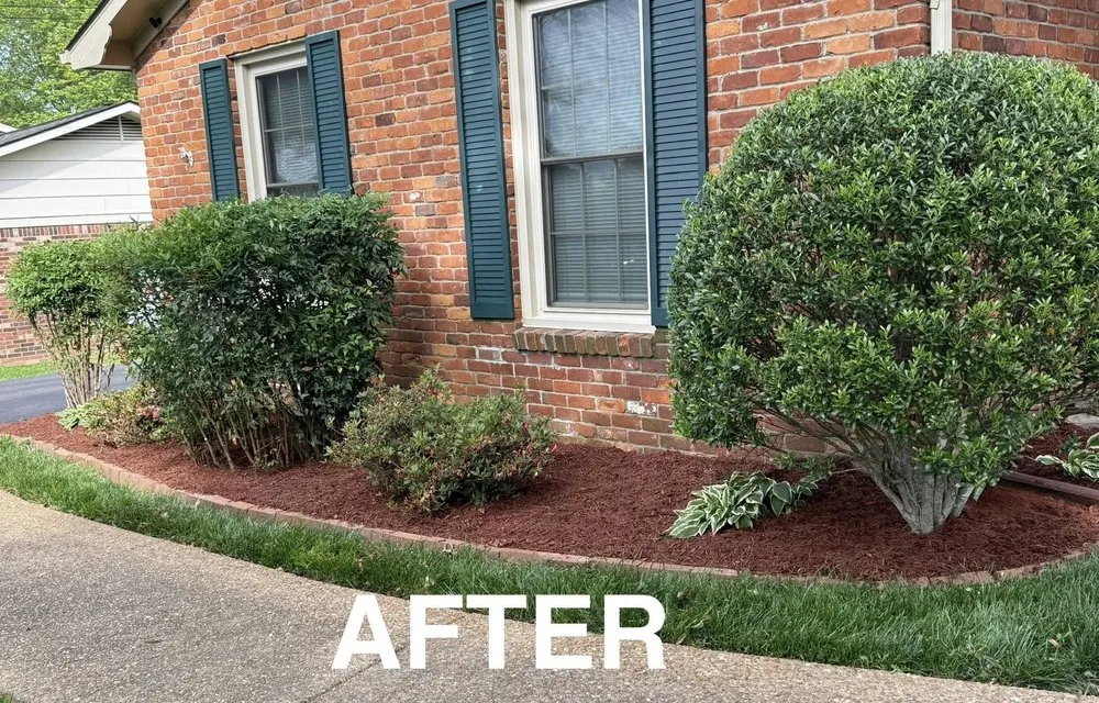 Professional residential landscaping for beautiful yards across Paducah, KY - We Mow